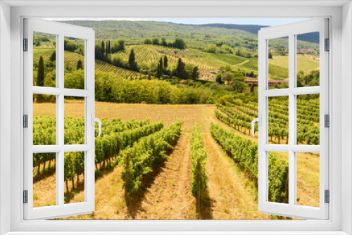 Fototapeta Naklejka Na Ścianę Okno 3D - countryside in the summer with vineyard, tuscany, italy