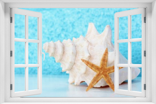Fototapeta Naklejka Na Ścianę Okno 3D - conch shell and star fish tropical blue background vacation holiday stock, photo, photograph, image, picture,