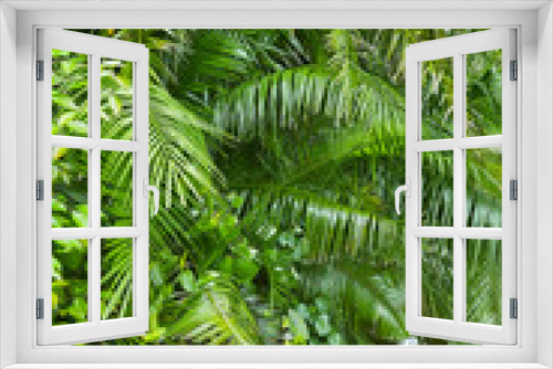 Fototapeta Naklejka Na Ścianę Okno 3D - Lush green jungle background