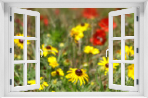Fototapeta Naklejka Na Ścianę Okno 3D - Flower Garden