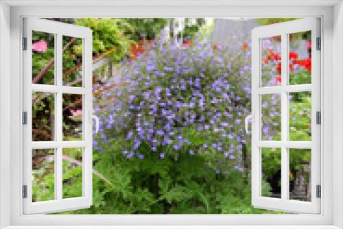 Fototapeta Naklejka Na Ścianę Okno 3D - Flower Garden