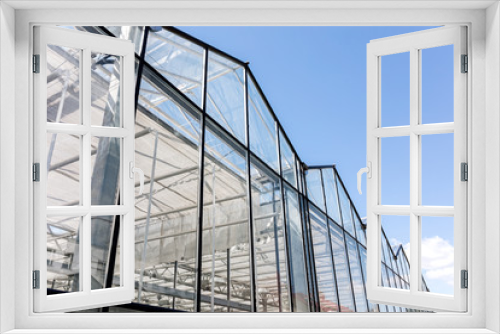 Fototapeta Naklejka Na Ścianę Okno 3D - glass facade of agricultural glasshouse on blue sky background