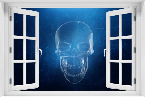Fototapeta Naklejka Na Ścianę Okno 3D - Abstract skull animation with blue plexus background