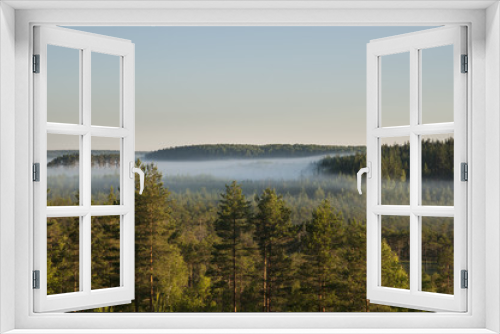 Fototapeta Naklejka Na Ścianę Okno 3D - Sunrise Forest & Fog