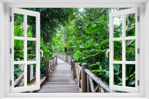 Fototapeta Naklejka Na Ścianę Okno 3D - The bridge in the jungle. Green moss and wooden bridge, Thailand