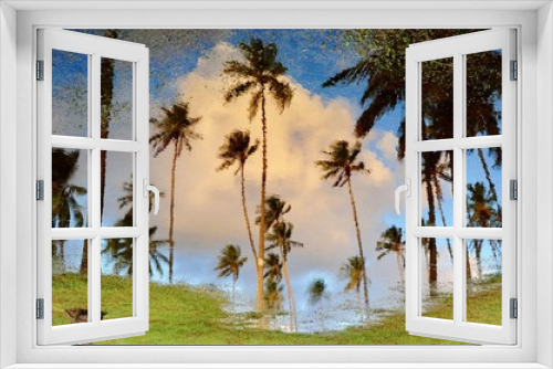 Fototapeta Naklejka Na Ścianę Okno 3D - Palmier sur l'Eau