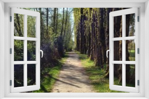 Fototapeta Naklejka Na Ścianę Okno 3D - Nature Path
