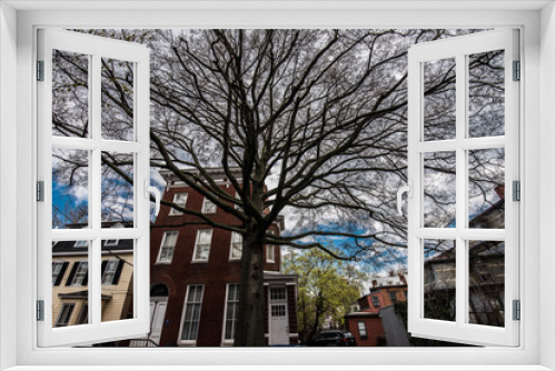 Fototapeta Naklejka Na Ścianę Okno 3D - Building Behind Tree