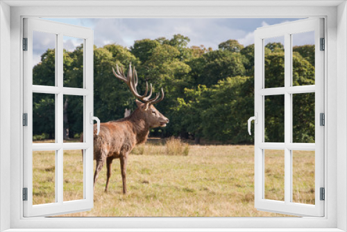 Fototapeta Naklejka Na Ścianę Okno 3D - Cervo
