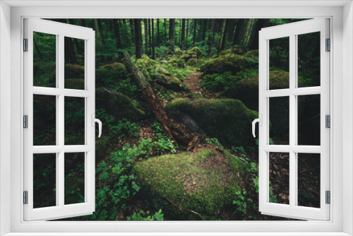 Fototapeta Naklejka Na Ścianę Okno 3D - Dunkle mystische Wald Stimmung im Harz