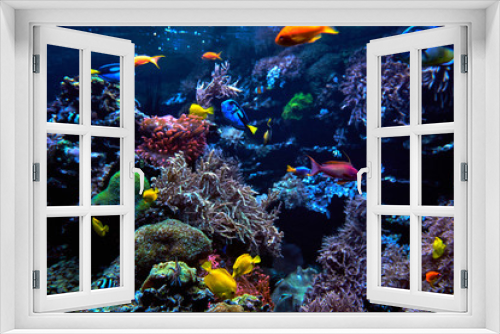 Fototapeta Naklejka Na Ścianę Okno 3D - Wonderful and beautiful underwater world with corals and fish