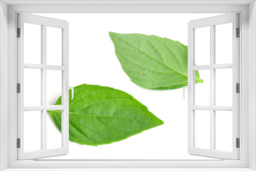Fototapeta Naklejka Na Ścianę Okno 3D - basil herb leaves isolated on white background closeup