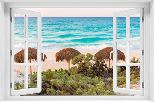 Fototapeta Naklejka Na Ścianę Okno 3D - Plants on the beach against the background of umbrellas, island of Cayo Largo, Cuba. Close-up.