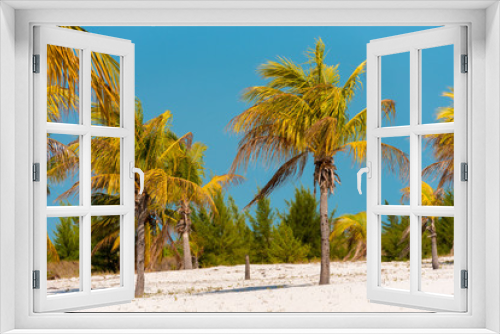 Fototapeta Naklejka Na Ścianę Okno 3D - White sand and palm trees on the beach Playa Sirena, Cayo Largo, Cuba. Copy space for text.