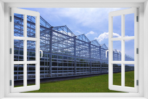 Fototapeta Naklejka Na Ścianę Okno 3D - Greenhouse, sky and grass.