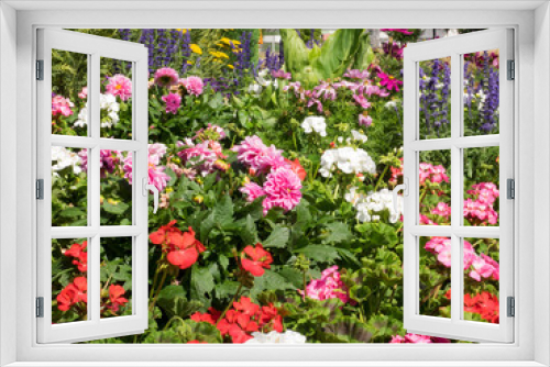 Fototapeta Naklejka Na Ścianę Okno 3D - Multicolor garden