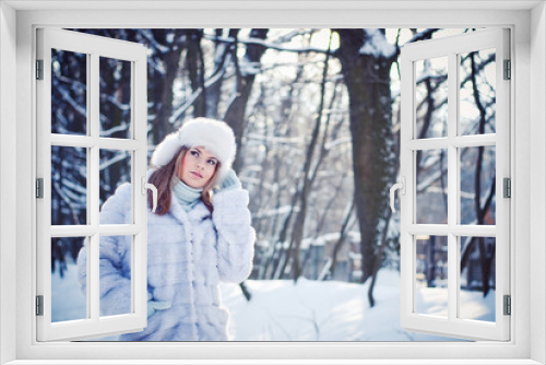 Beautiful girl in a winter snowy park