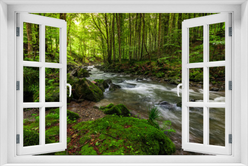 Fototapeta Naklejka Na Ścianę Okno 3D - Rapid stream in green forest