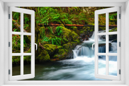 Fototapeta Naklejka Na Ścianę Okno 3D - Columbia Gorge #4