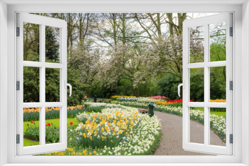 Fototapeta Naklejka Na Ścianę Okno 3D - Beautiful flowers and blossom trees in a park in the Netherlands in spring