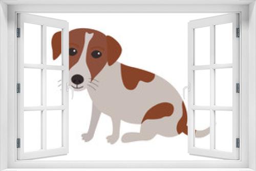Fototapeta Naklejka Na Ścianę Okno 3D - Jack Russell Terrier dog sitting