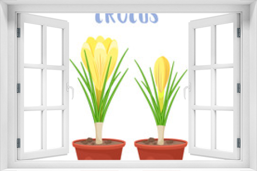 Fototapeta Naklejka Na Ścianę Okno 3D - Spring flowers in flower pots. Irises, lilies of valley, tulips, narcissuses, crocuses and other primroses. Garden design icons isolated on white background