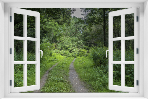 Fototapeta Naklejka Na Ścianę Okno 3D - versperrter Radweg im Wald