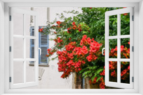 Fototapeta Naklejka Na Ścianę Okno 3D - Closed blue shutters with red flowers