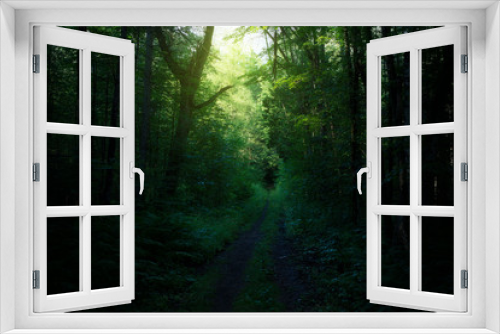 Fototapeta Naklejka Na Ścianę Okno 3D - Magical forest road through the trees