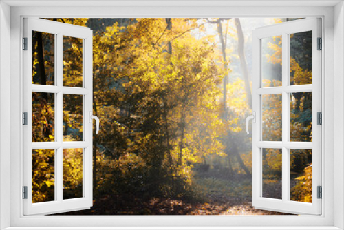 Fototapeta Naklejka Na Ścianę Okno 3D - sun shining though a clearing in autumn forest with mist and bright woodland trees with fallen leaves on the ground