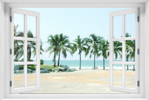 Fototapeta Naklejka Na Ścianę Okno 3D - Palm coconut tree