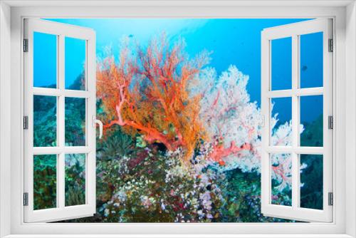 Fototapeta Naklejka Na Ścianę Okno 3D - Wonderful and beautiful underwater world with corals, fish and sunlight