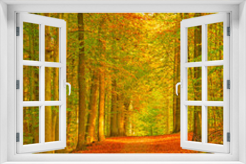 Fototapeta Naklejka Na Ścianę Okno 3D - Nice autumnal scene