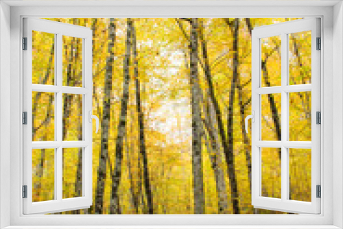 Fototapeta Naklejka Na Ścianę Okno 3D - Autumn landscape in a forest