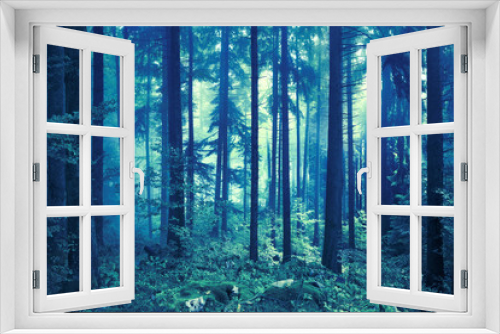 Fototapeta Naklejka Na Ścianę Okno 3D - Dark mysterious blue and green foggy forest tree landscape.
