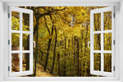 Fototapeta Naklejka Na Ścianę Okno 3D - leśna jesienna droga