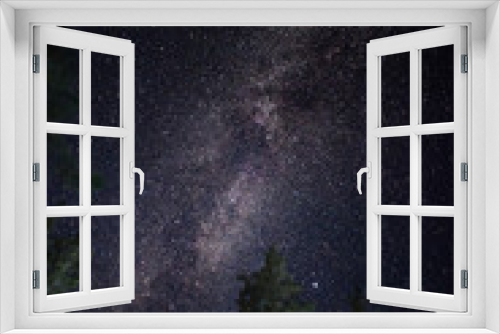 Fototapeta Naklejka Na Ścianę Okno 3D - Bright milky way galaxy in dark night sky above tall pine trees in wilderness