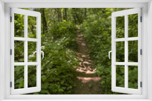 Fototapeta Naklejka Na Ścianę Okno 3D - A path in the fairy green forest Washington, USA