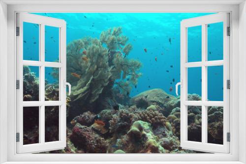Fototapeta Naklejka Na Ścianę Okno 3D - Colorful coral reef with big sea fan and plenty fish.