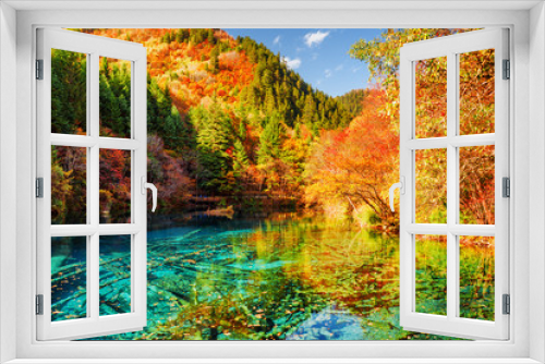 Fototapeta Naklejka Na Ścianę Okno 3D - The Five Flower Lake (Multicolored Lake) among autumn forest