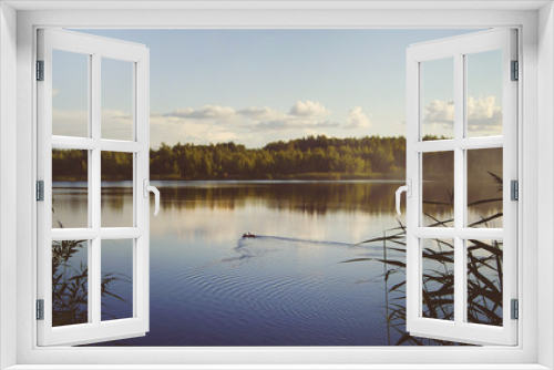 Fototapeta Naklejka Na Ścianę Okno 3D - Lake landscape with ducks