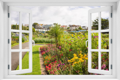 Fototapeta Naklejka Na Ścianę Okno 3D - Flowers in a garden in Cornwall at summertime