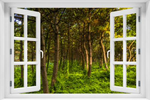 Fototapeta Naklejka Na Ścianę Okno 3D - Our nature