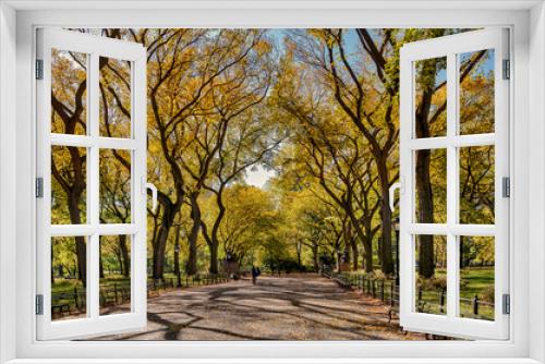 Fototapeta Naklejka Na Ścianę Okno 3D - Serene view of fall trees in Central Park, New York