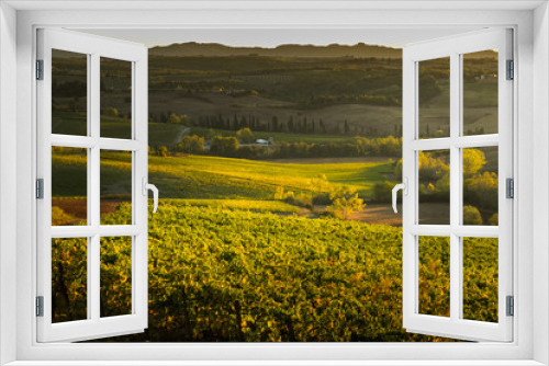 Fototapeta Naklejka Na Ścianę Okno 3D - Tuscany, Italy - Vineyard near Siena