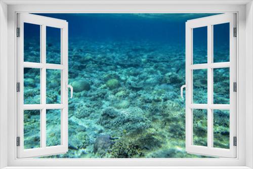 Fototapeta Naklejka Na Ścianę Okno 3D - Die Unterwasserwelt eines indonesischen Korallenriffs
