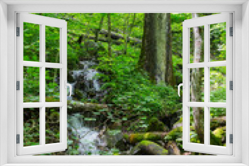 Fototapeta Naklejka Na Ścianę Okno 3D - A little tributary swollen by recent rains cascading down the mountainside with many little waterfalls, through the lush green foliage off the side of Glade Creek trail in southern West Virginia.