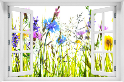 Fototapeta Naklejka Na Ścianę Okno 3D - bunte blumenwiese vor weißem hintergrund, panorama