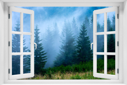 Fototapeta Naklejka Na Ścianę Okno 3D - pines in morning fog