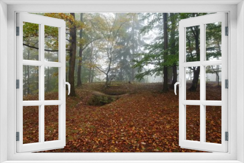 Fototapeta Naklejka Na Ścianę Okno 3D - Autumn forest with fog